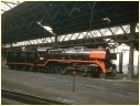 R747,North Melbourne