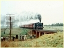 A2 986,Ballan,Gordon