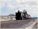 N460, Ararat