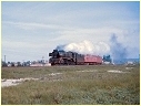 R762,Ararat