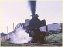 J547,Ararat