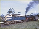 B75,R703,Ararat