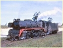 R703,Ararat