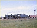 N458,Ararat