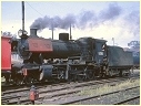 J510,Bendigo
