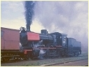 J515,Bendigo