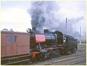 J515,Bendigo