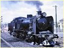 N429,Geelong