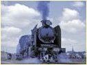 N429,Geelong
