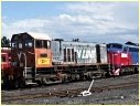 Y168,S302,Newport