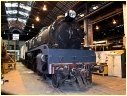 R711,Newport