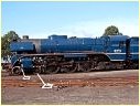 R711,Newport