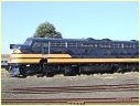 S313,Newport