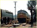 S313,Newport