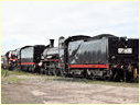 Steamrail