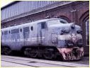 L1169,Newport