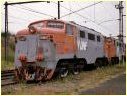 L class,Newport