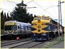 L1162,Newport