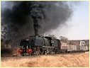 402,Sawmills,Zimbabwe