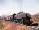 415,Thomson Junction,Zimbabwe
