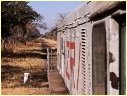 302,Mulobezi,Zambia