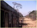 302,Mulobezi,Zambia