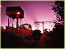 601,Colleen Bawn,Zimbabwe