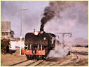 601,Colleen Bawn,Zimbabwe