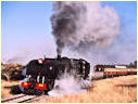 601,Colleen Bawn,Zimbabwe