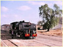 601,West Nicholson,Zimbabwe