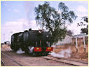 601,West Nicholson,Zimbabwe
