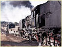 525,601,Mbalabala,Zimbabwe