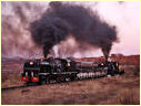 525,601,Mbalabala,Zimbabwe