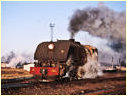 400,Bulawayo