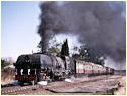 20th,730,Marula